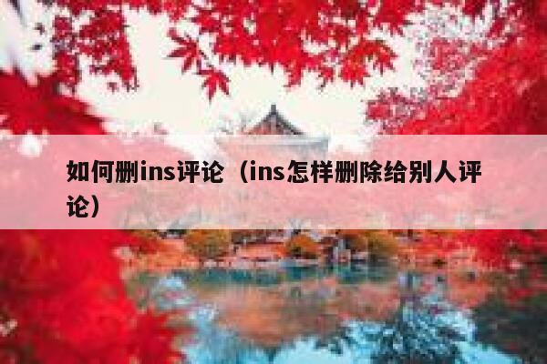 如何删ins评论（ins怎样删除给别人评论） 第1张