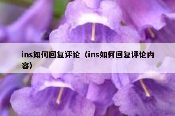 ins如何回复评论（ins如何回复评论内容） 第1张