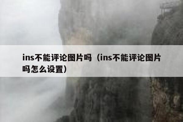 ins不能评论图片吗（ins不能评论图片吗怎么设置） 第1张