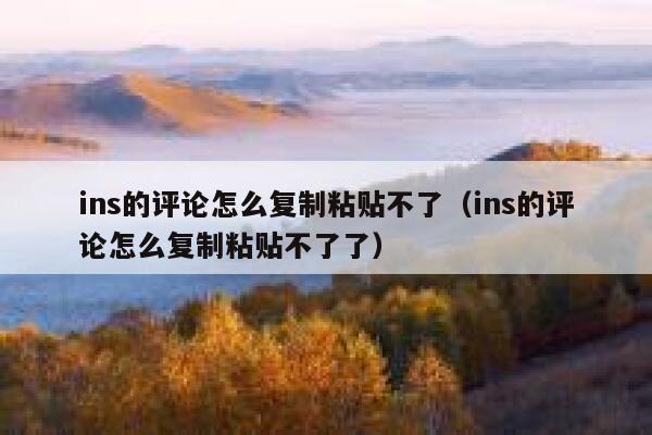 ins的评论怎么复制粘贴不了（ins的评论怎么复制粘贴不了了） 第1张