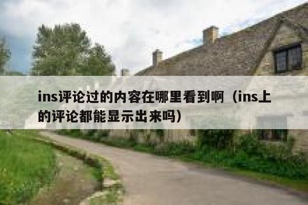 ins评论过的内容在哪里看到啊（ins上的评论都能显示出来吗） 第1张