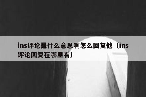 ins评论是什么意思啊怎么回复他（ins评论回复在哪里看） 第1张