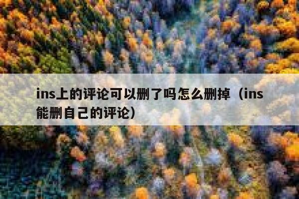ins上的评论可以删了吗怎么删掉（ins能删自己的评论） 第1张