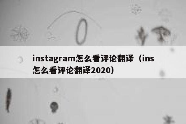 instagram怎么看评论翻译（ins怎么看评论翻译2020） 第1张