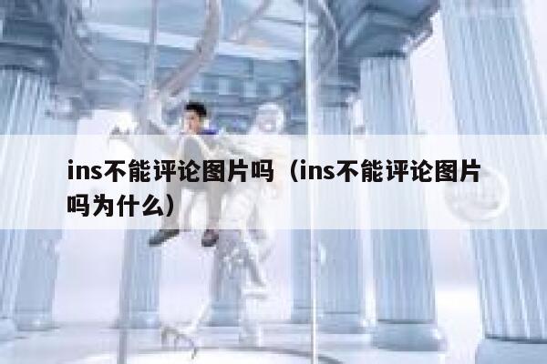 ins不能评论图片吗（ins不能评论图片吗为什么） 第1张