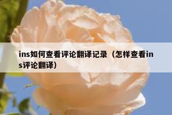 ins如何查看评论翻译记录（怎样查看ins评论翻译） 第1张