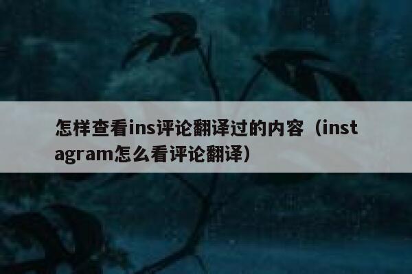怎样查看ins评论翻译过的内容（instagram怎么看评论翻译） 第1张