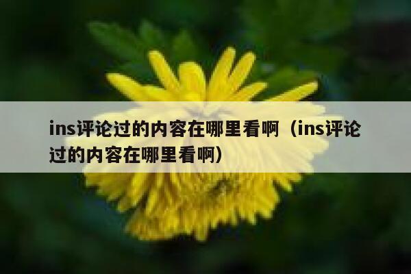 ins评论过的内容在哪里看啊（ins评论过的内容在哪里看啊） 第1张