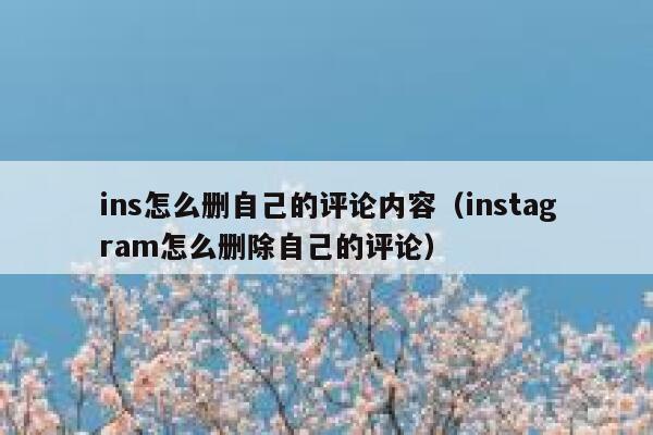 ins怎么删自己的评论内容（instagram怎么删除自己的评论） 第1张