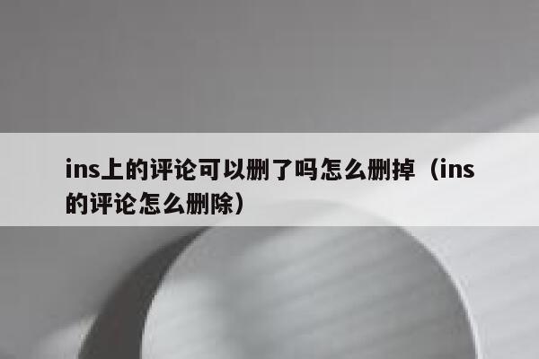 ins上的评论可以删了吗怎么删掉（ins的评论怎么删除） 第1张