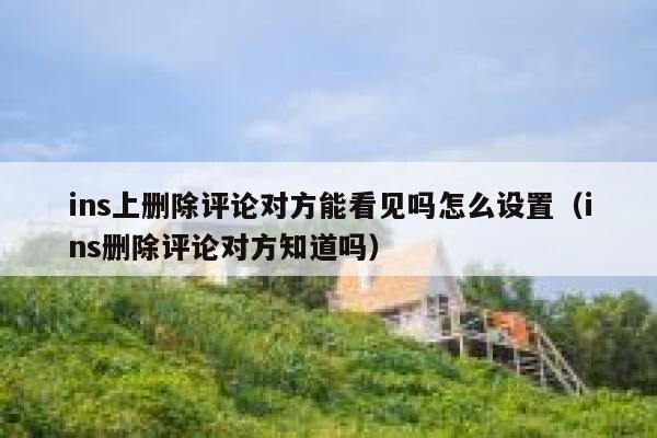 ins上删除评论对方能看见吗怎么设置（ins删除评论对方知道吗） 第1张