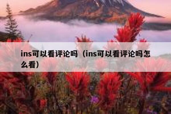 ins可以看评论吗（ins可以看评论吗怎么看） 第1张