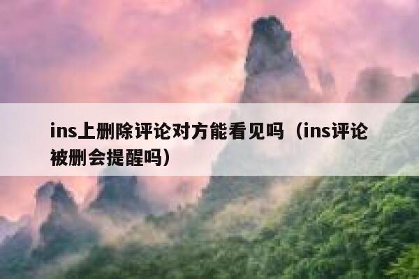 ins上删除评论对方能看见吗（ins评论被删会提醒吗） 第1张
