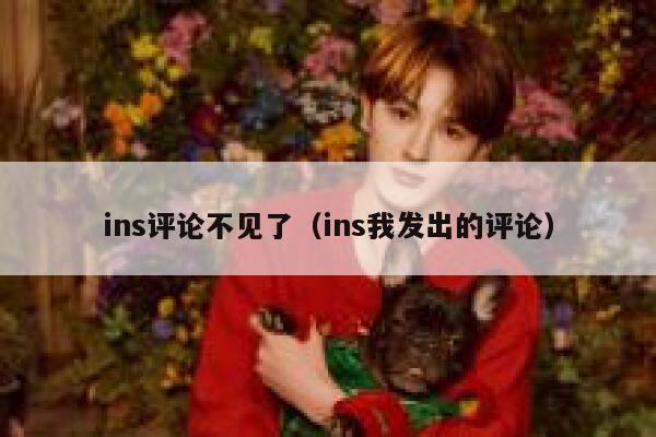 ins评论不见了（ins我发出的评论） 第1张