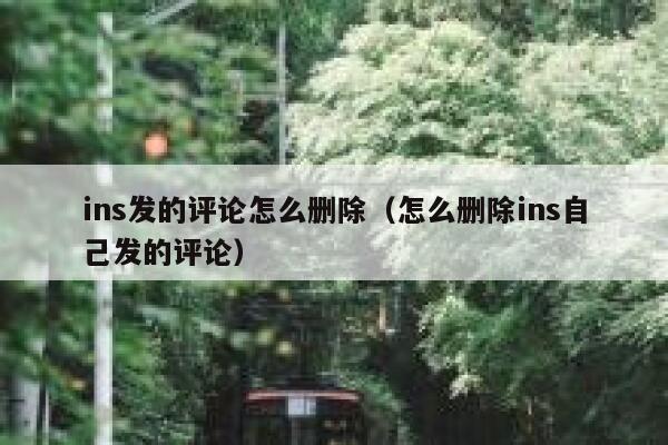 ins发的评论怎么删除（怎么删除ins自己发的评论） 第1张