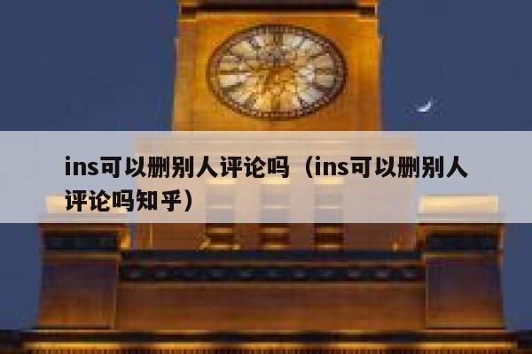 ins可以删别人评论吗（ins可以删别人评论吗知乎） 第1张
