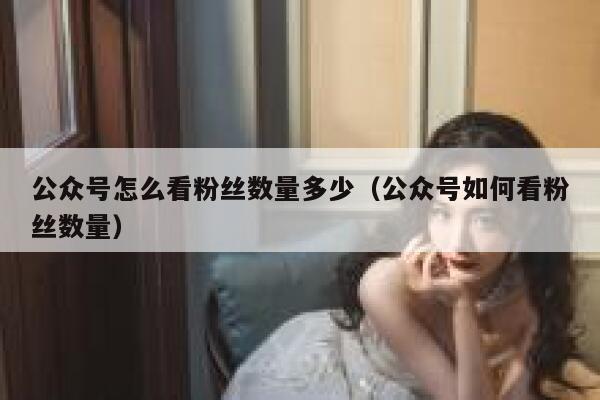 公众号怎么看粉丝数量多少（公众号如何看粉丝数量） 第1张