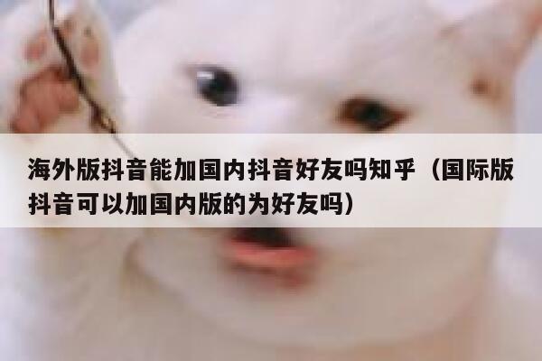 海外版抖音能加国内抖音好友吗知乎（国际版抖音可以加国内版的为好友吗） 第1张