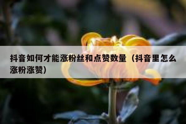 抖音如何才能涨粉丝和点赞数量（抖音里怎么涨粉涨赞） 第1张
