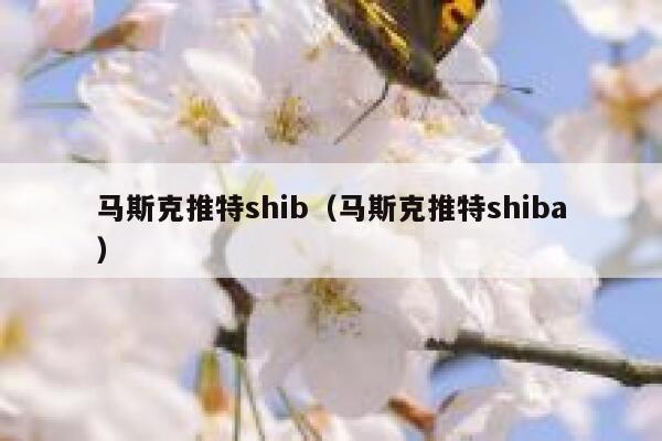 马斯克推特shib（马斯克推特shiba） 第1张