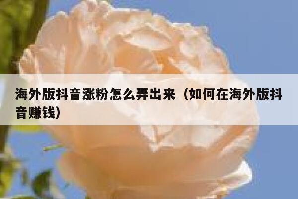 海外版抖音涨粉怎么弄出来（如何在海外版抖音赚钱） 第1张