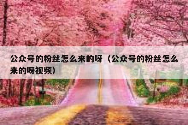 公众号的粉丝怎么来的呀（公众号的粉丝怎么来的呀视频） 第1张
