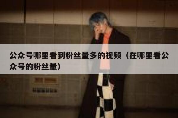 公众号哪里看到粉丝量多的视频（在哪里看公众号的粉丝量） 第1张