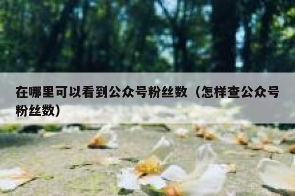 在哪里可以看到公众号粉丝数（怎样查公众号粉丝数） 第1张