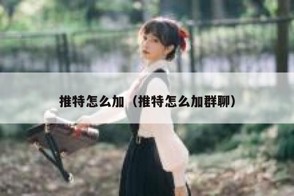 推特怎么加（推特怎么加群聊） 第1张