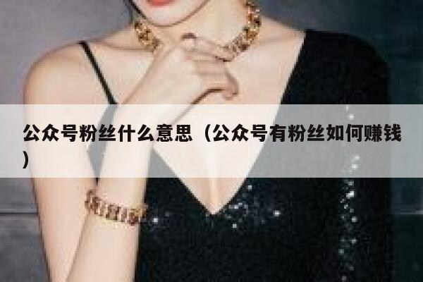 公众号粉丝什么意思（公众号有粉丝如何赚钱） 第1张