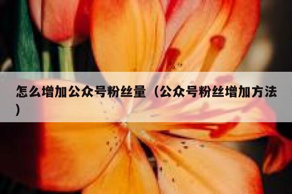 怎么增加公众号粉丝量（公众号粉丝增加方法） 第1张