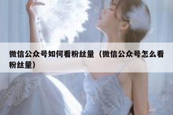 微信公众号如何看粉丝量（微信公众号怎么看粉丝量） 第1张