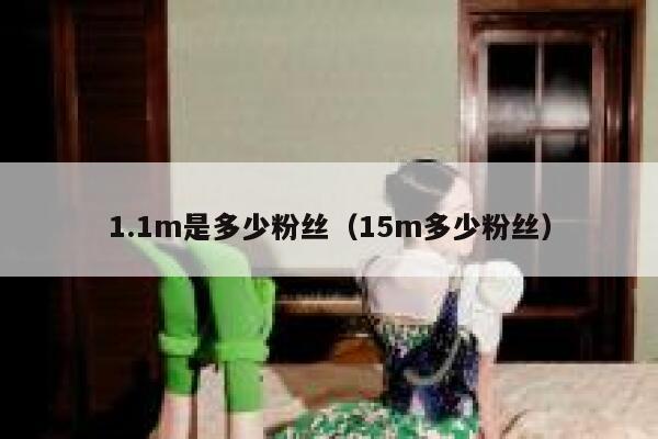 1.1m是多少粉丝（15m多少粉丝） 第1张