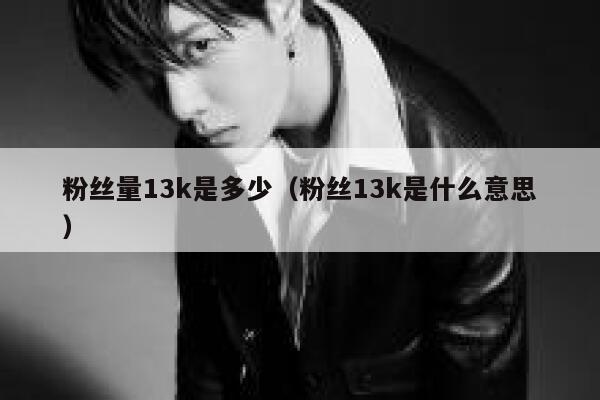 粉丝量13k是多少（粉丝13k是什么意思） 第1张
