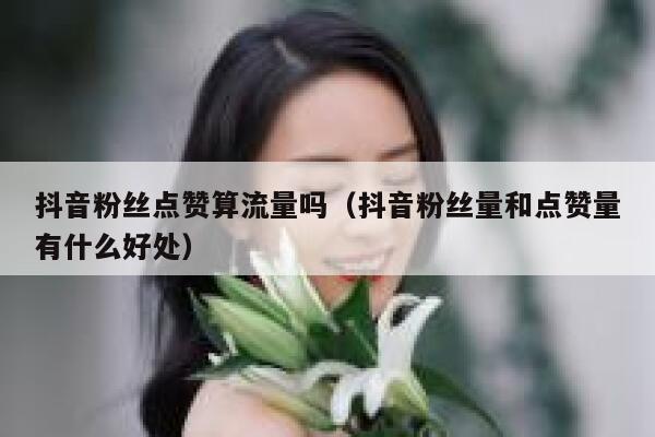 抖音粉丝点赞算流量吗（抖音粉丝量和点赞量有什么好处） 第1张