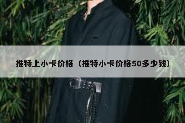 推特上小卡价格（推特小卡价格50多少钱） 第1张