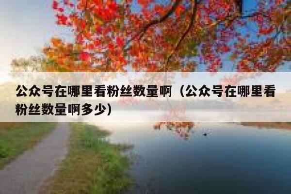 公众号在哪里看粉丝数量啊（公众号在哪里看粉丝数量啊多少） 第1张