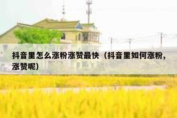 抖音里怎么涨粉涨赞最快（抖音里如何涨粉,涨赞呢） 第1张
