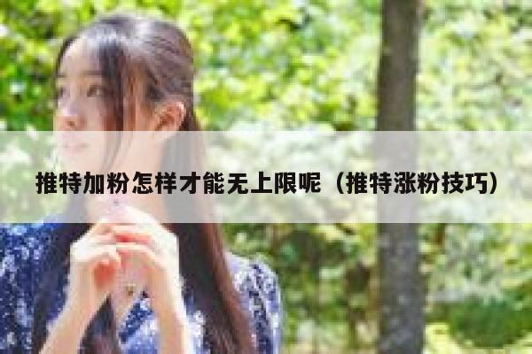 推特加粉怎样才能无上限呢（推特涨粉技巧） 第1张