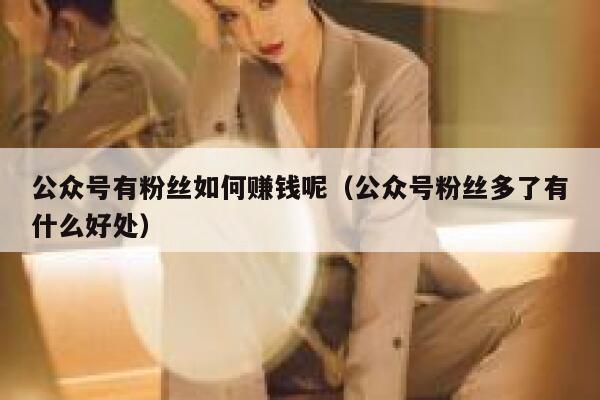 公众号有粉丝如何赚钱呢（公众号粉丝多了有什么好处） 第1张