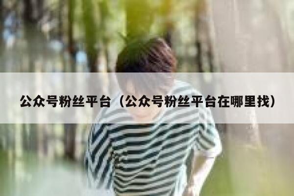 公众号粉丝平台（公众号粉丝平台在哪里找） 第1张