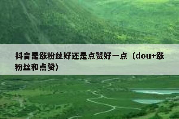 抖音是涨粉丝好还是点赞好一点（dou+涨粉丝和点赞） 第1张