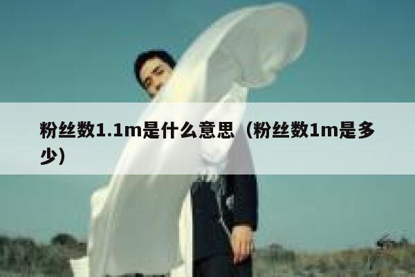 粉丝数1.1m是什么意思（粉丝数1m是多少） 第1张