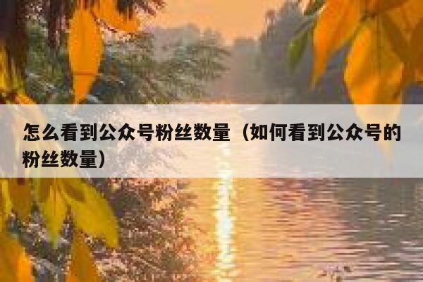 怎么看到公众号粉丝数量（如何看到公众号的粉丝数量） 第1张