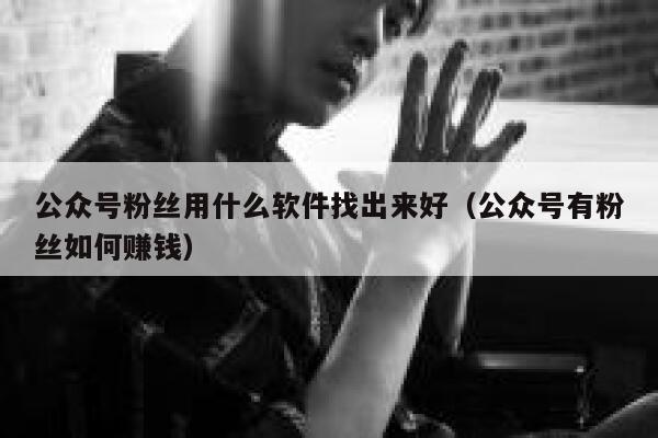 公众号粉丝用什么软件找出来好（公众号有粉丝如何赚钱） 第1张