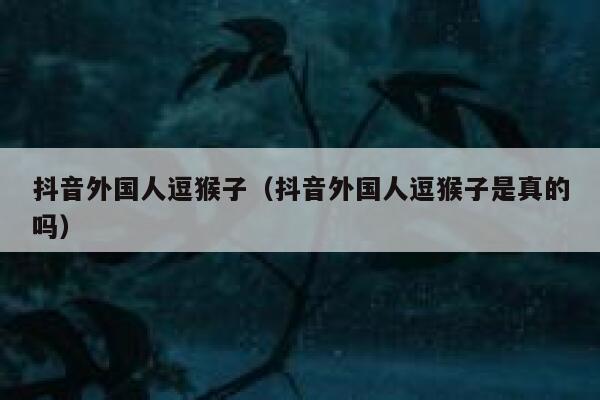 抖音外国人逗猴子（抖音外国人逗猴子是真的吗） 第1张