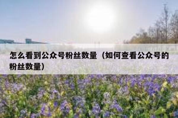 怎么看到公众号粉丝数量（如何查看公众号的粉丝数量） 第1张