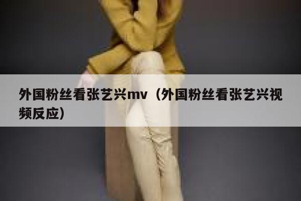 外国粉丝看张艺兴mv（外国粉丝看张艺兴视频反应） 第1张