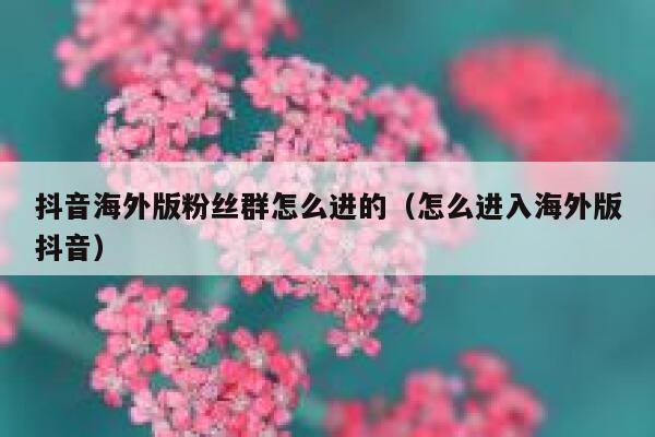 抖音海外版粉丝群怎么进的（怎么进入海外版抖音） 第1张