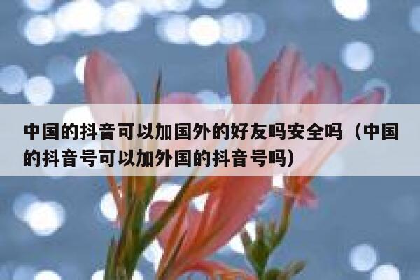 中国的抖音可以加国外的好友吗安全吗（中国的抖音号可以加外国的抖音号吗） 第1张